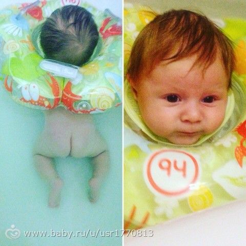 О Вовочке! (фото)
