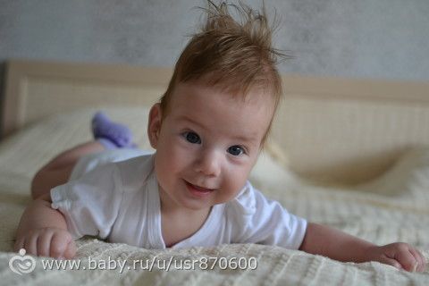 Как посадить петунию на рассаду в домашних условиях Как посадить петунию на рассаду в домашних условиях