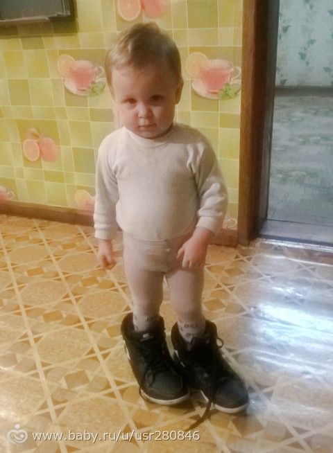 Полторашечка ***