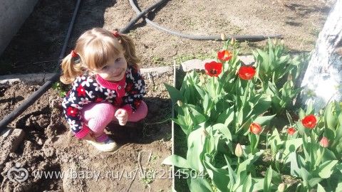 Цветочный фотопост🌼🌼🌼