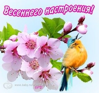 Цветочный фотопост🌼🌼🌼