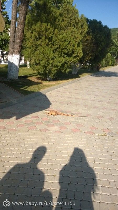 Анапа -2015, ностальгия и в преддверие нового сезона)))
