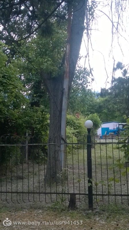 Наш отдых в Анапе июнь 2016 г.)))(фото, отредактировала)
