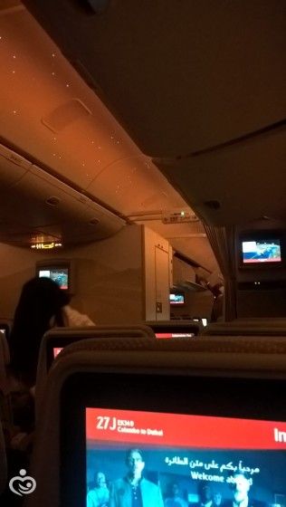 Шри- Ланка. Рай на земле. Отпуск удался!
