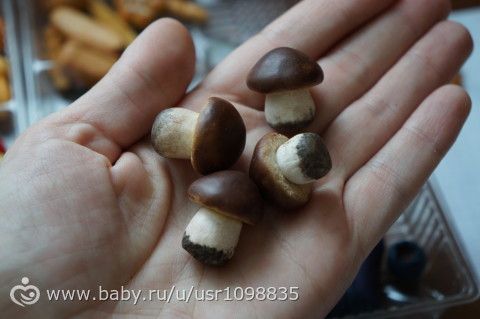 Миниатюрный огород дома)