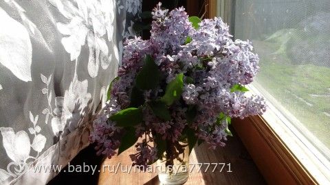 Сиреневое настроение