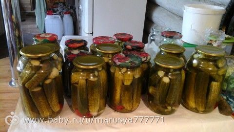 Заготовки на зиму