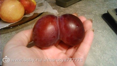 Сливками с эротическим подтекстом ?