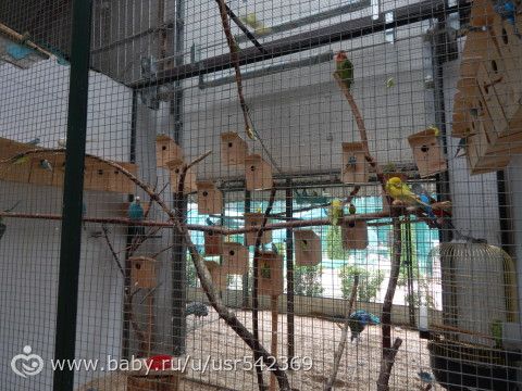 Самарский зоопарк