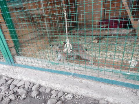 Самарский зоопарк