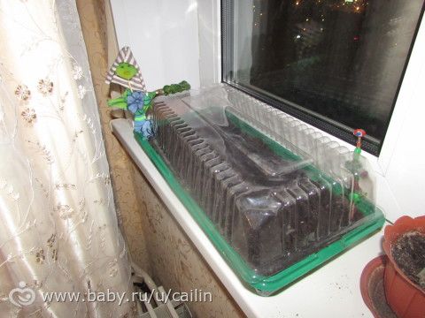 Наши занимашки. Сад и огород.