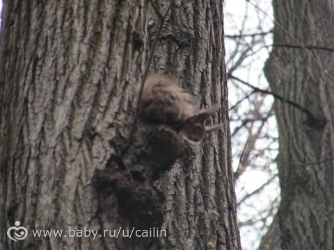 Любимое Царицыно. 1 и 2 мая. Много фото.