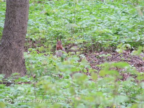 Любимое Царицыно. 1 и 2 мая. Много фото.