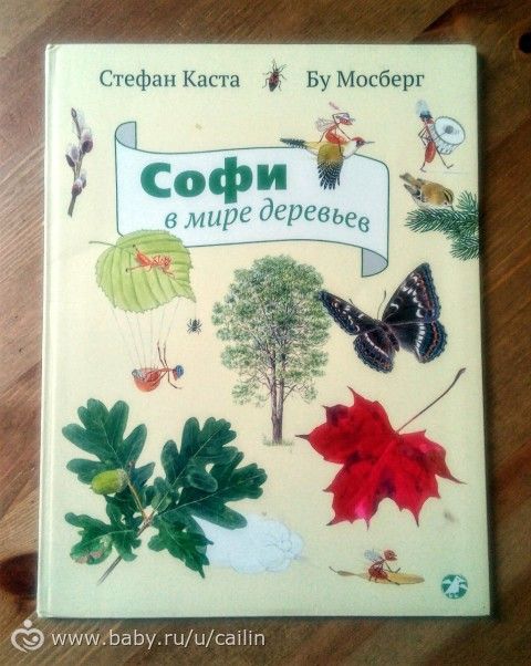 Наши занимашки. Лес. Ягоды.
