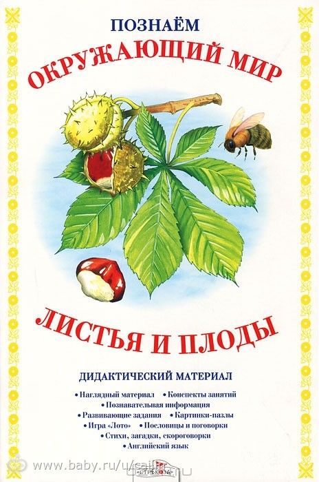 Наши занимашки. Лес. Ягоды.
