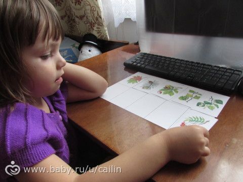 Наши занимашки. Лес. Ягоды.