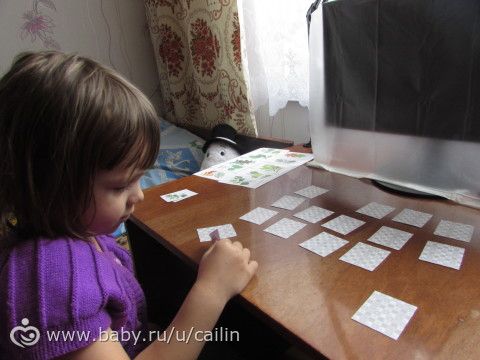 Наши занимашки. Лес. Ягоды.