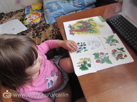 Наши занимашки. Лес. Ягоды.