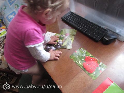 Наши занимашки. Лес. Ягоды.