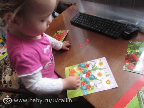 Наши занимашки. Лес. Ягоды.