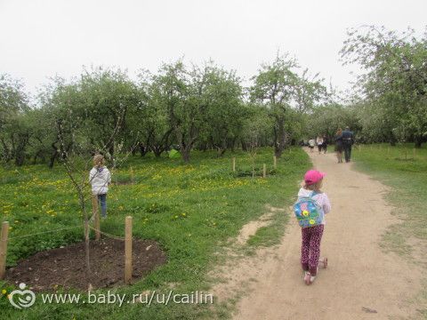 Поход в Коломенское. Ч. 2.