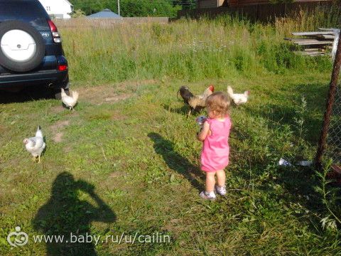 На даче. Изучаем биологию.