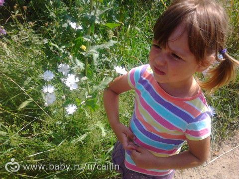 На даче. Изучаем биологию.