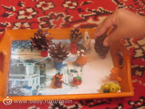 Наши занимашечки. Растения