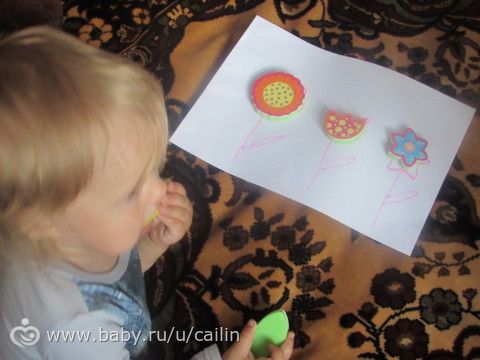 Наши занимашечки. Растения