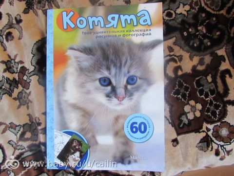 Наши занимашечки. Кошки