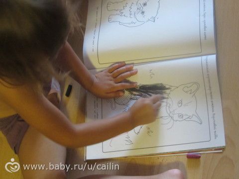 Наши занимашечки. Кошки