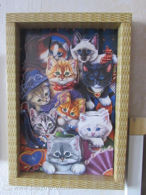 Наши занимашечки. Кошки