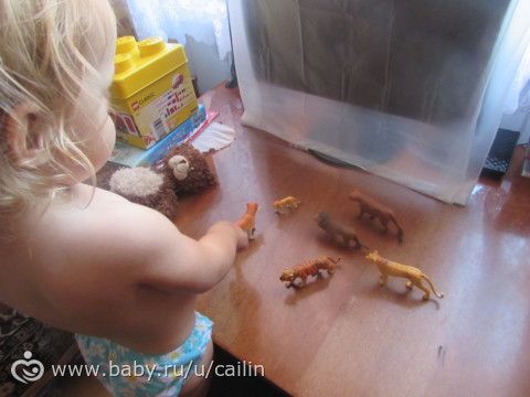 Наши занимашечки. Кошки
