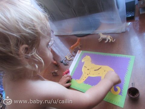 Наши занимашечки. Кошки