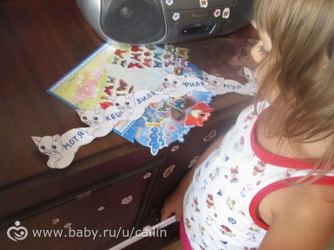 Наши занимашечки. Кошки
