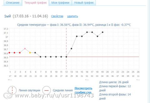 Мой график на сегодня