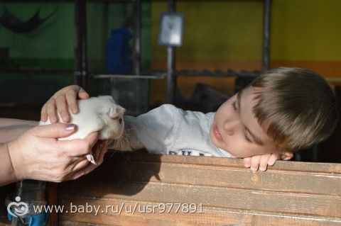 Новогодние прадзники, 2016.