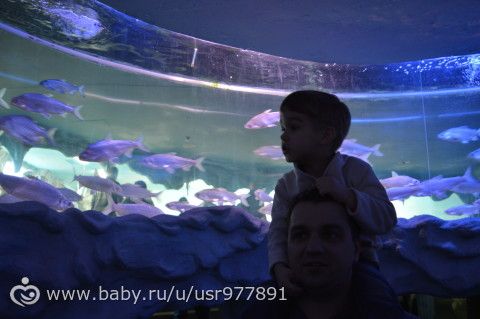 Новогодние прадзники, 2016.