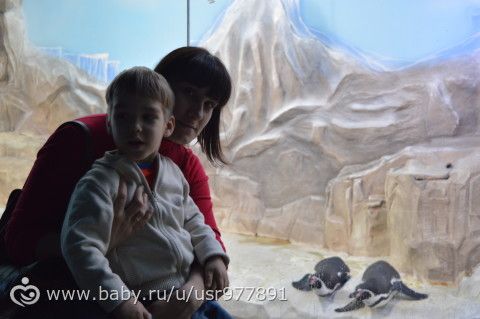 Новогодние прадзники, 2016.