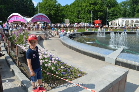 &amp;quot;Рисовалка&amp;quot; в парке Сокольники, 29 мая.