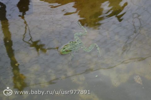 Наше лето, часть 1.