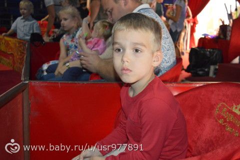 Цирк &quot;Кудзинов&quot; и Парк им.850-летия Москвы, 28 августа.