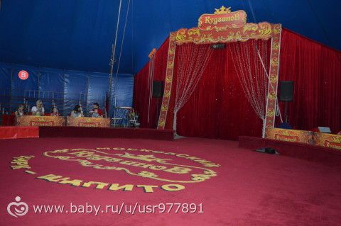 Цирк &quot;Кудзинов&quot; и Парк им.850-летия Москвы, 28 августа.