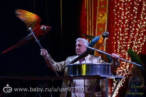 Цирк &quot;Кудзинов&quot; и Парк им.850-летия Москвы, 28 августа.