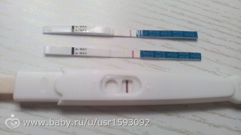 Температура тела