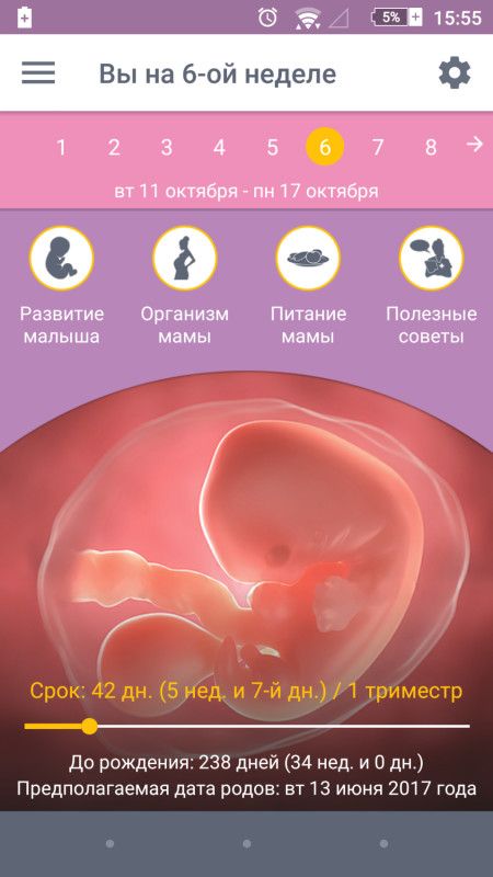 6 недель симптомы. 7 Недель и 3 дня беременности. 6 Недель 6 дней беременности. Размер плода на 6 неделе беременности.