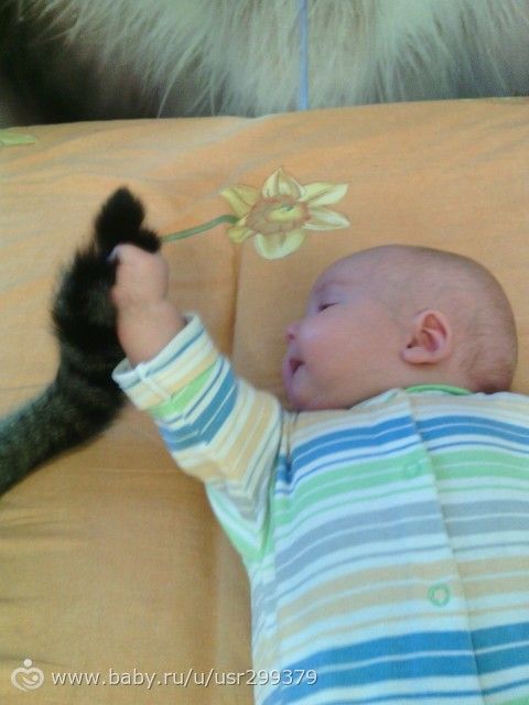 Сынуля добрался до кота)))