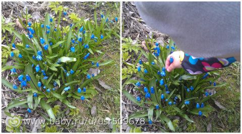 черновик отчета