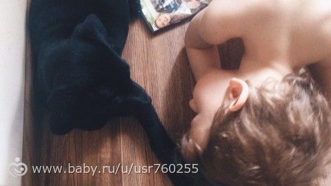 Собака в доме. День 31