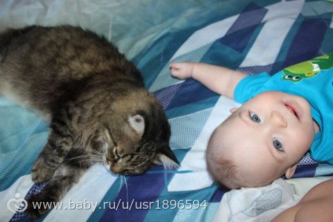 Максимушке 6 месяцев :) Фото. Умелки. Новости.